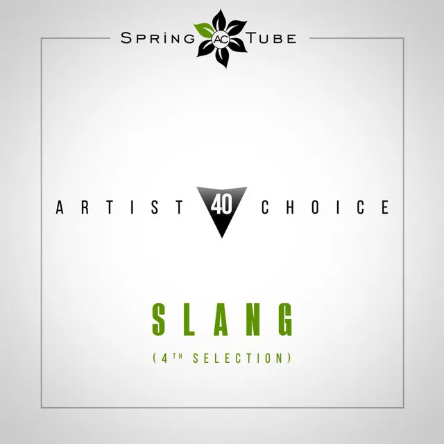 Artist Choice 040. Slang (4th Selection) - Continuous DJ Mix