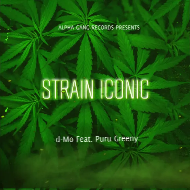 Strain Iconic