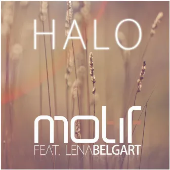 Halo by Motif