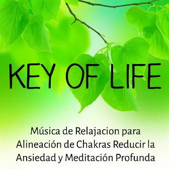 Key of Life - Música de Relajacion para Alineación de Chakras Reducir la Ansiedad y Meditación Profunda by Spa Music Spa