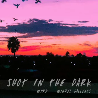 Shot in the Dark by MDRD