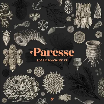 Sloth Machine EP by Paresse