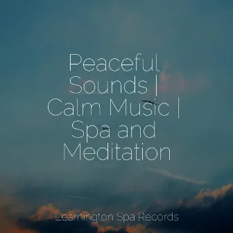 Peaceful Sounds | Calm Music | Spa and Meditation by Saludo al Sol Sonido Relajante