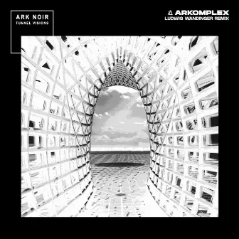 Arkomplex (Ludwig Wandinger Remix) by Ark Noir