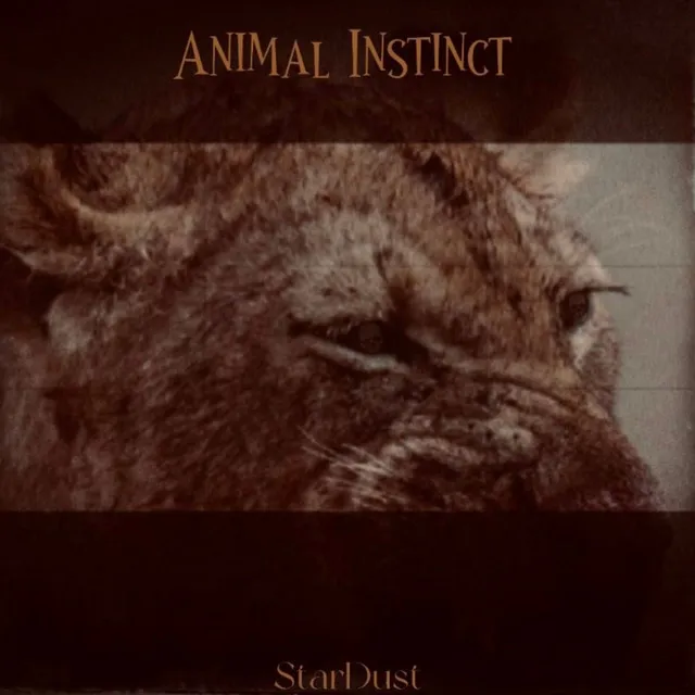 Animal Instincts