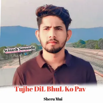 Tujhe Dil Bhul Ko Pav by 