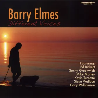 Different Voices by Barry Elmes