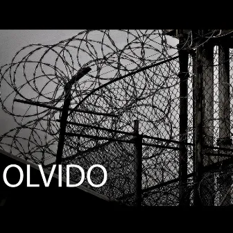 Olvido by Haer