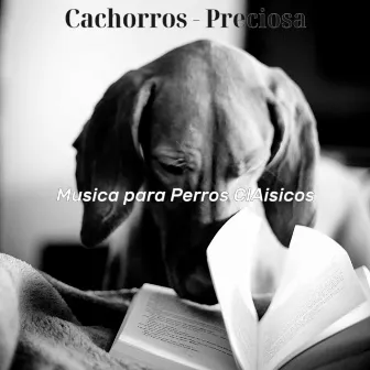 Cachorros - Preciosa by Musica para Perros ClAisicos