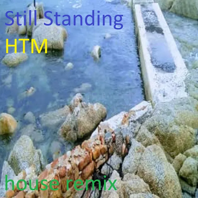 Still Standing (House Remix)