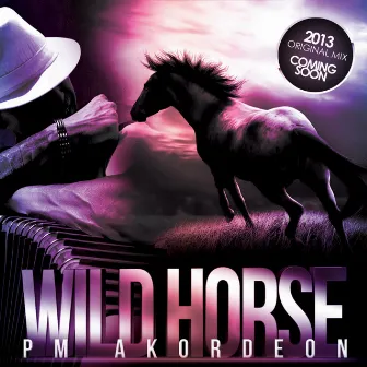 Wild Horse by PM Akordeon