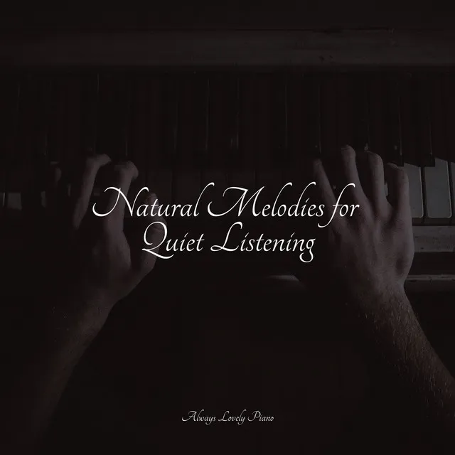 50 Calming Tracks for Complete Concentration