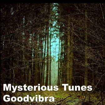 Mysterious Tunes by Goodvibra