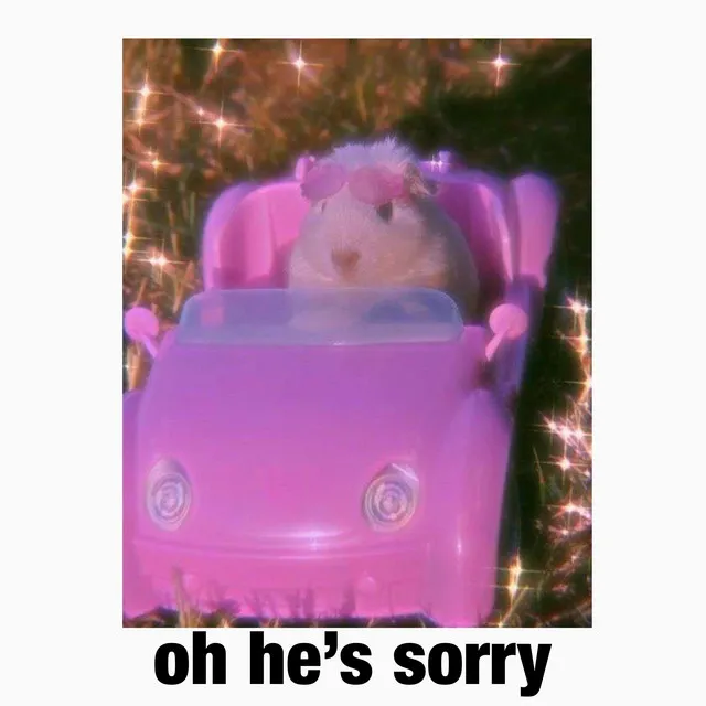 oh he’s sorry