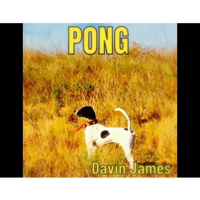 Pong