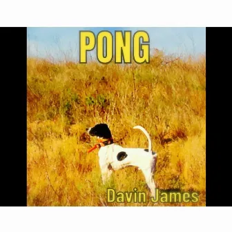 Pong by Davin James