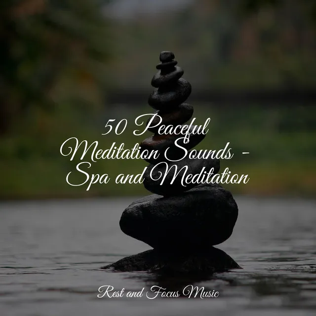 50 Peaceful Meditation Sounds - Spa and Meditation