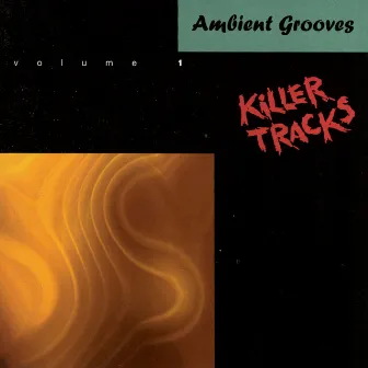 Ambient Grooves, Vol. 1 by Mike Mullen