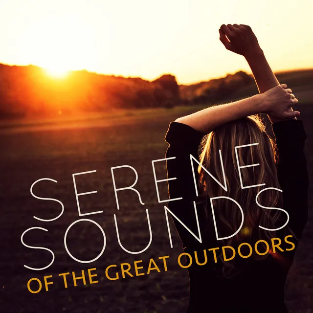 Serene Sounds of the Great Outdoors