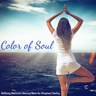 Color of Soul – Wellbeing Meditation Relaxing Music for Vibrational Healing with Instrumental and Natural Sounds by Unknown Artist