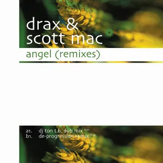 Angel (Remixes) by Drax