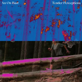 Tender Perceptions by An On Bast