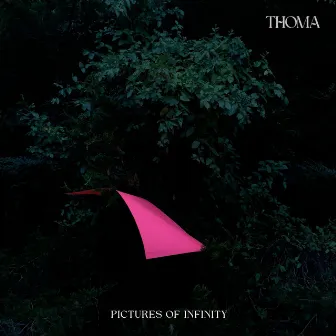 Pictures of Infinity by Thoma