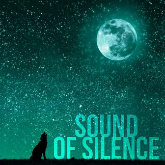 Sound of Silence - Sleeping Music for Babies and Infants, New Age Soothing Sounds for Newborns to Relax by Trouble Sleeping Club