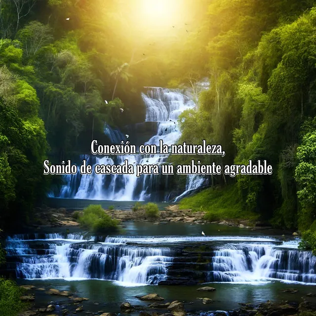 Escucha de la naturaleza, Sonido de cascada para un ambiente agradable