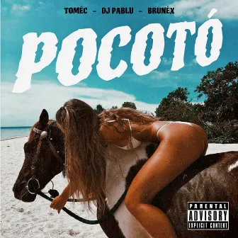 Pocotó by Brunéx