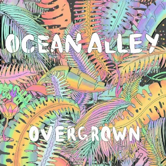 Overgrown by Ocean Alley