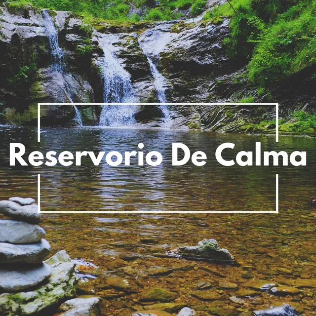 Reservorio De Calma