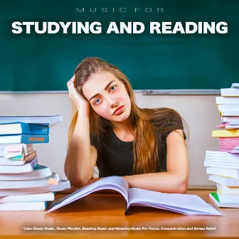 Music For Studying and Reading: Calm Study Music, Study Playlist, Reading Music and Relaxing Music For Focus, Concentration and Stress Relief by Study Playlist