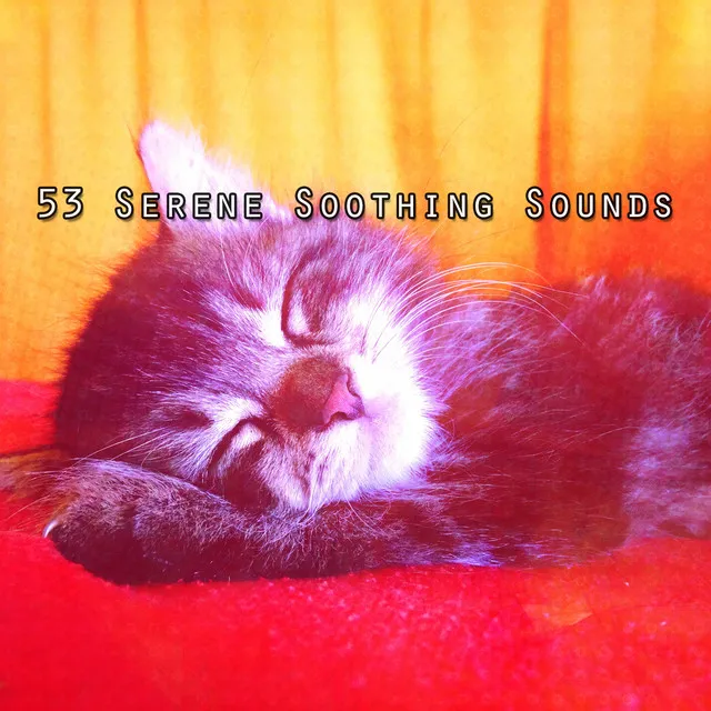 53 Serene Soothing Sounds