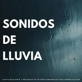 Sonidos De Lluvia: Lluvia Relajante Y Melodías De Pájaros Binaurales Para Perros Felices by Lloviendo Relajante