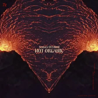 Not Organic by Senses Of Mind