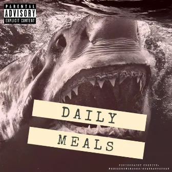 Daily Meals by Nick Will