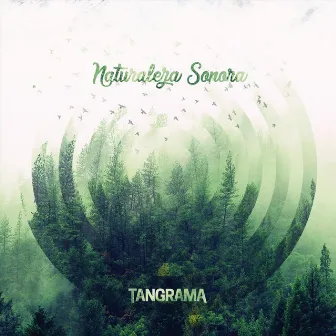 Naturaleza Sonora (En Vivo) by Tangrama