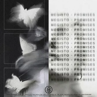 Promises by Megisto