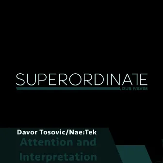 Attention and Interpretation by Davor Tosovic