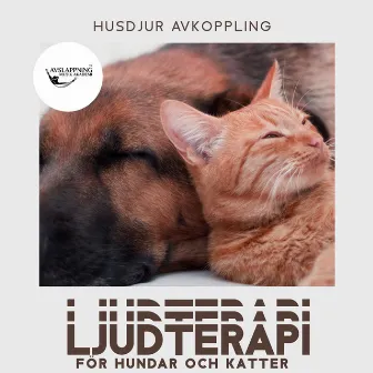 Husdjur avkoppling: Ljudterapi för hundar och katter, Lugna ner din fyrbenta vänner, Minska ångest by Sleepy Dogs!