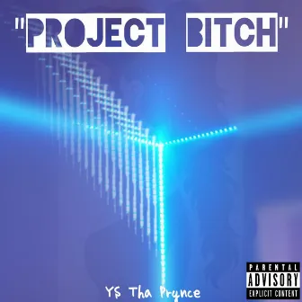 Project Bitch (Slow Motion) by YS Tha Prynce