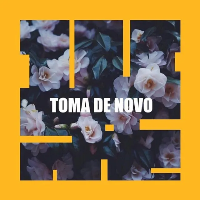 Toma De Novo