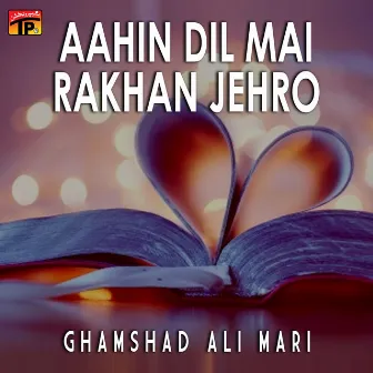 Aahin Dil Mai Rakhan Jehro by Allah Dino Jonejo