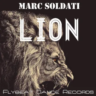 Lion by Marc Soldati