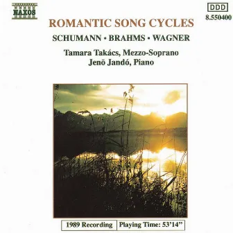 Romantic Song Cycles by Tamara Takács