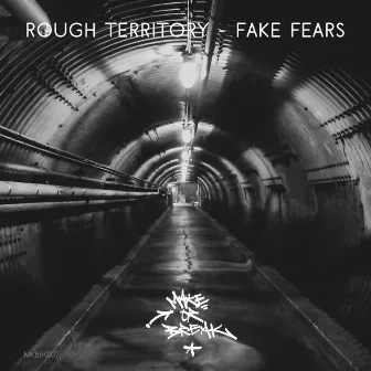 Fake Fears by Rough Territory