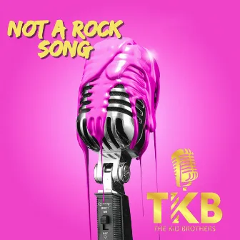 Not a Rock Song by The Kid Brothers