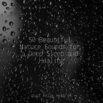 50 Beautiful Nature Sounds for a Deep Sleep and Healing by Lounge relax