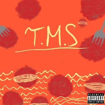 T.M.S by Luey T